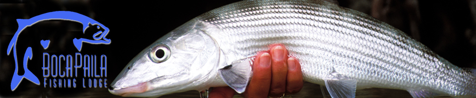 BocaPaila_WebHeader_Bonefish_071911.jpg