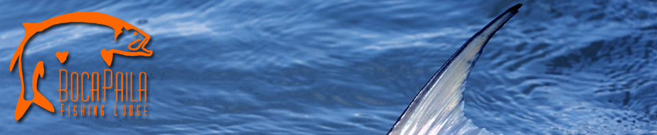 BocaPaila_WebHeader_Permit_042611.jpg