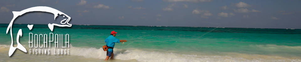 BocaPaila_WebHeader_Surf_Fisher_071911.jpg