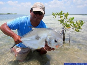 bocapailapermit2backbone Permit fishing at Boca Paila, Mexico