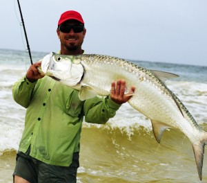 Boca Paila Tarpon in the Surf Boca Paila Tarpon in the Surf
