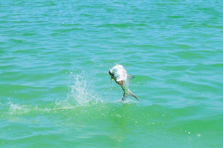 Fishing » Boca Paila Fishing Lodge | Yucatan Peninsula, Mexico